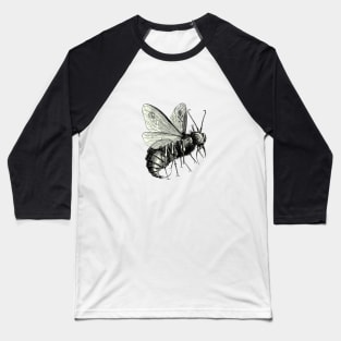 Monstrous Gluttonous Lord of the Heavens Demonic Fly Cut Out Baseball T-Shirt